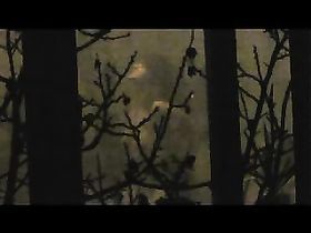 Подсматриваем за сексом через окно - ч.2