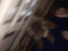 Чел снял любительскую порнуху со своей соседкой